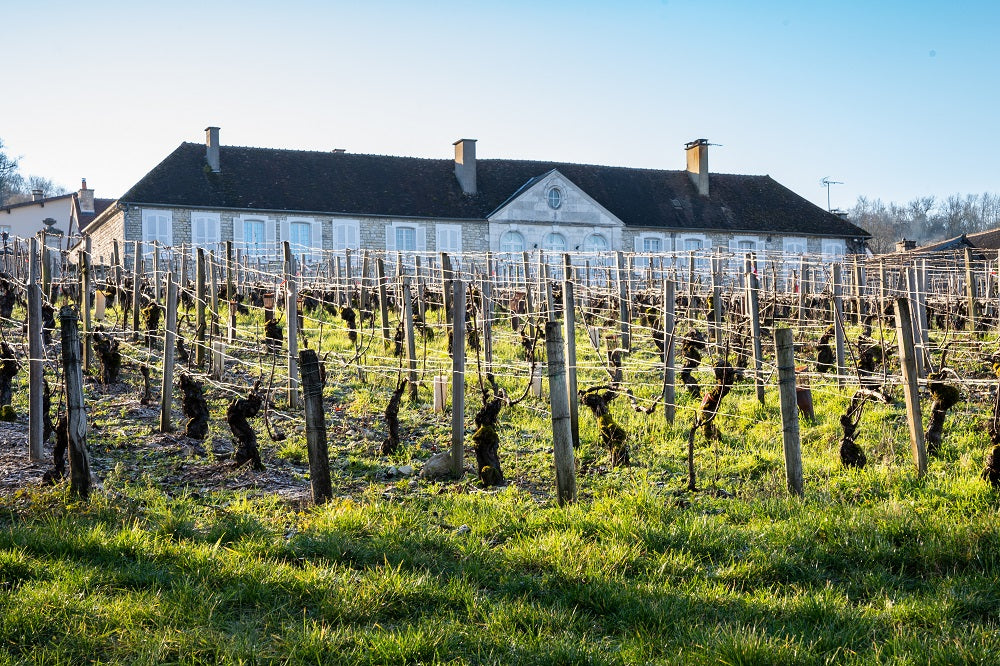 Château de Fleys - Chablis 1er Cru Les Fourneaux 2023