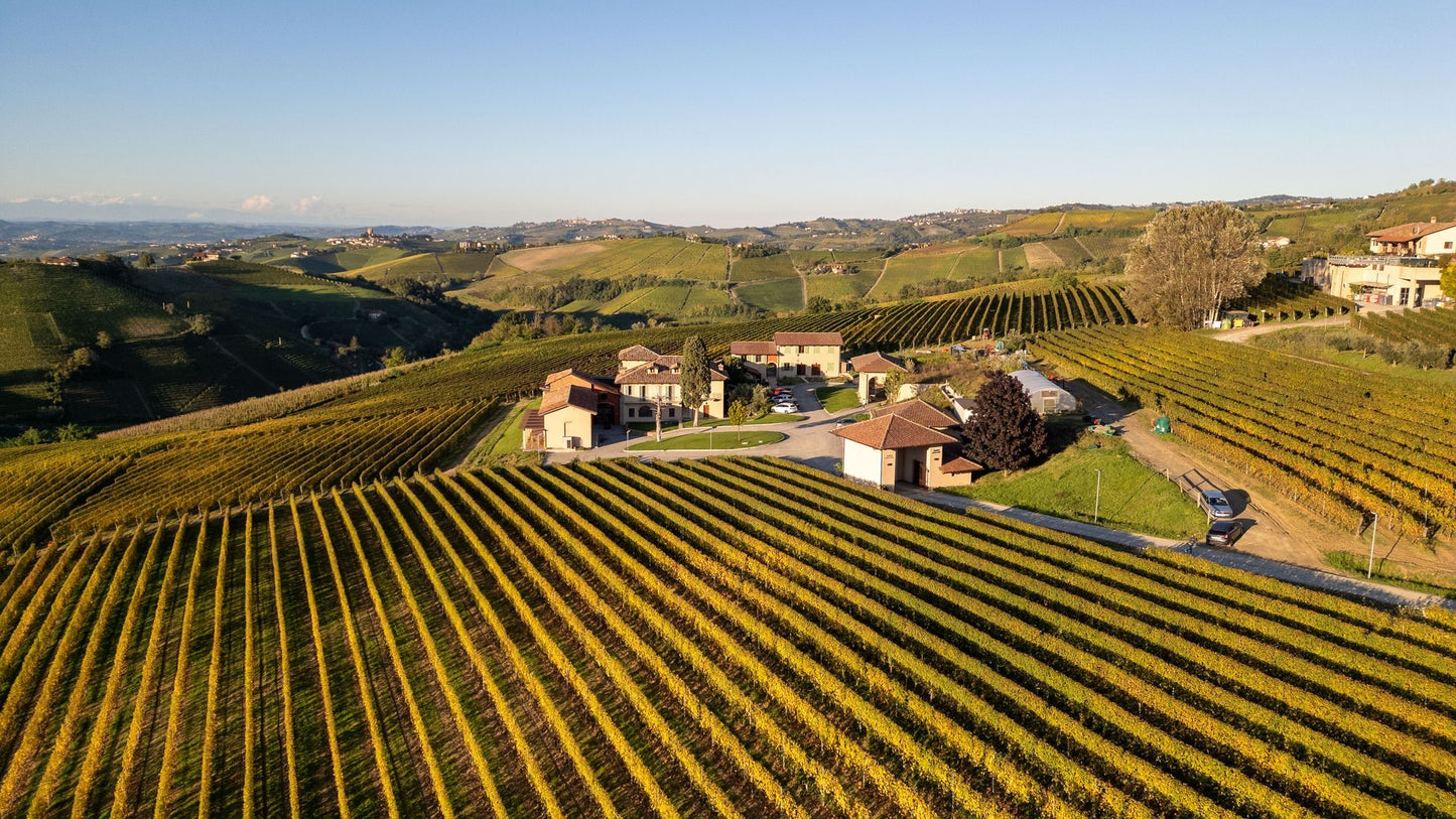 Podere Gagliassi - Barbera d'Alba 2023
