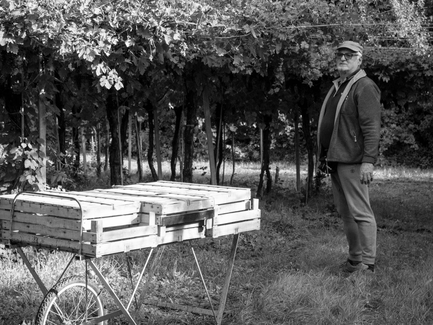 Bussola - L'Errante 2017