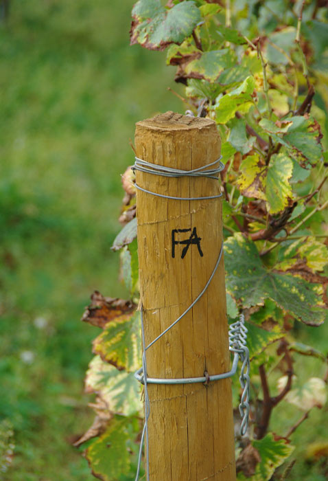 François d'Allaines - Rully 1er Cru "La Fosse" 2022