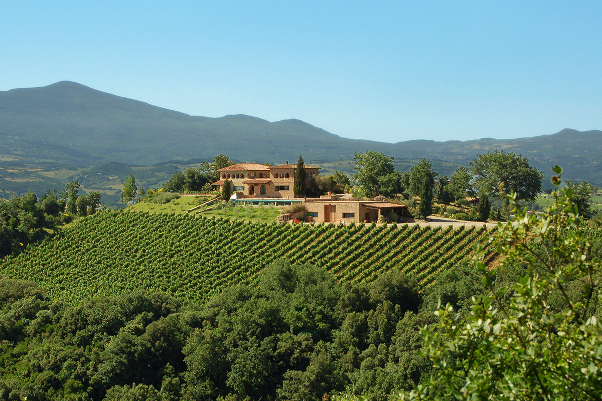 Terralsole - Senza Età