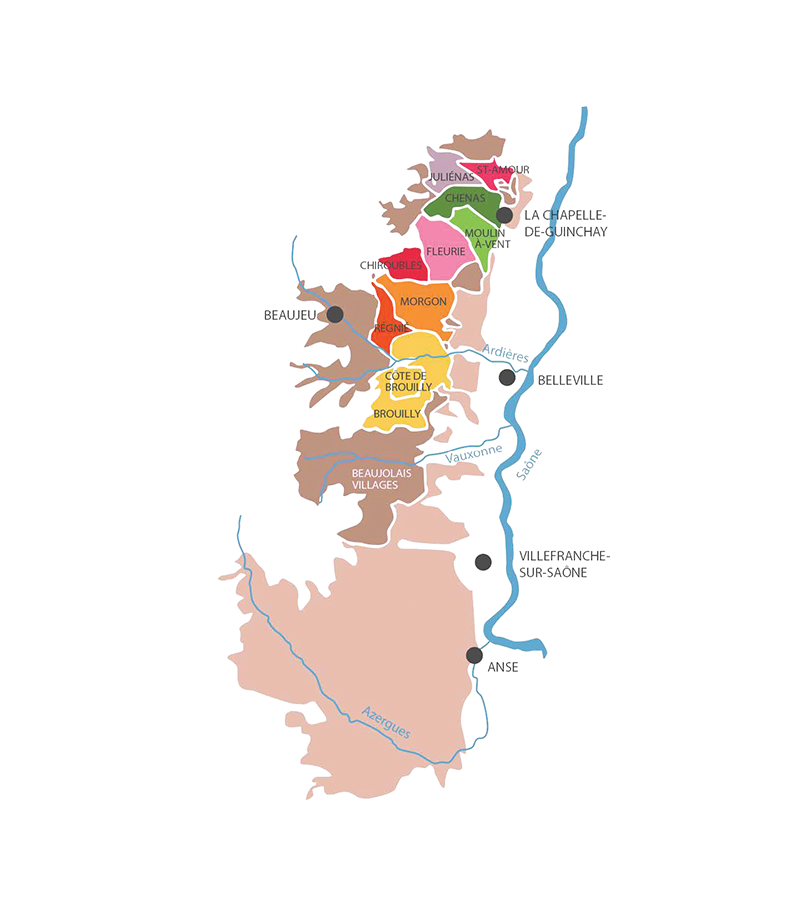 Domaine Dubost - Moulin-à-Vent "En Brenay" 2023