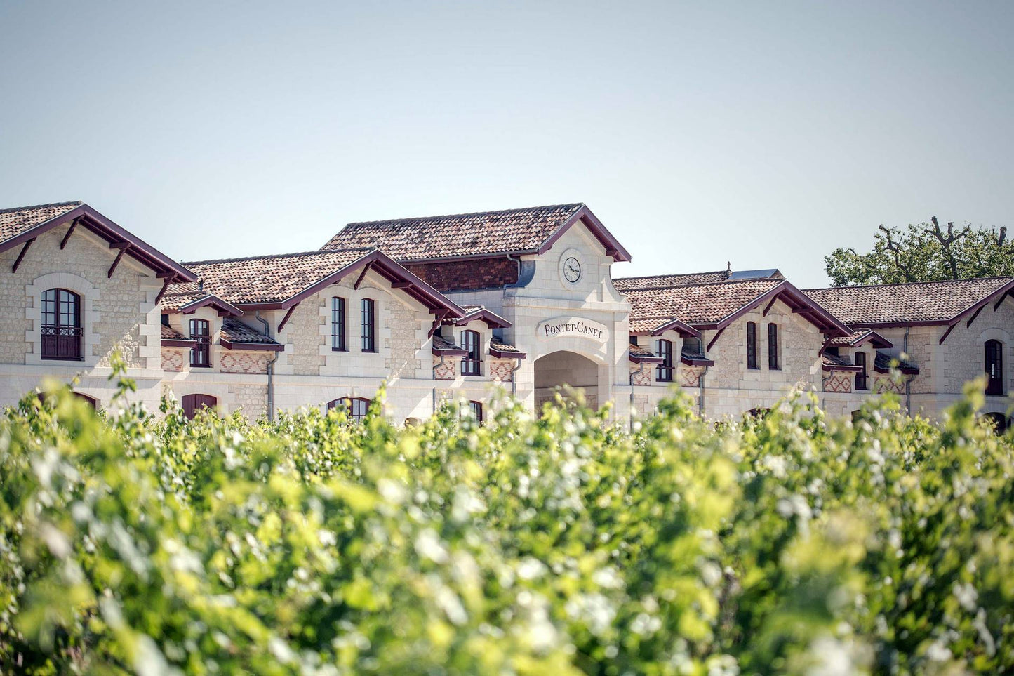 Château Pontet Canet 2009
