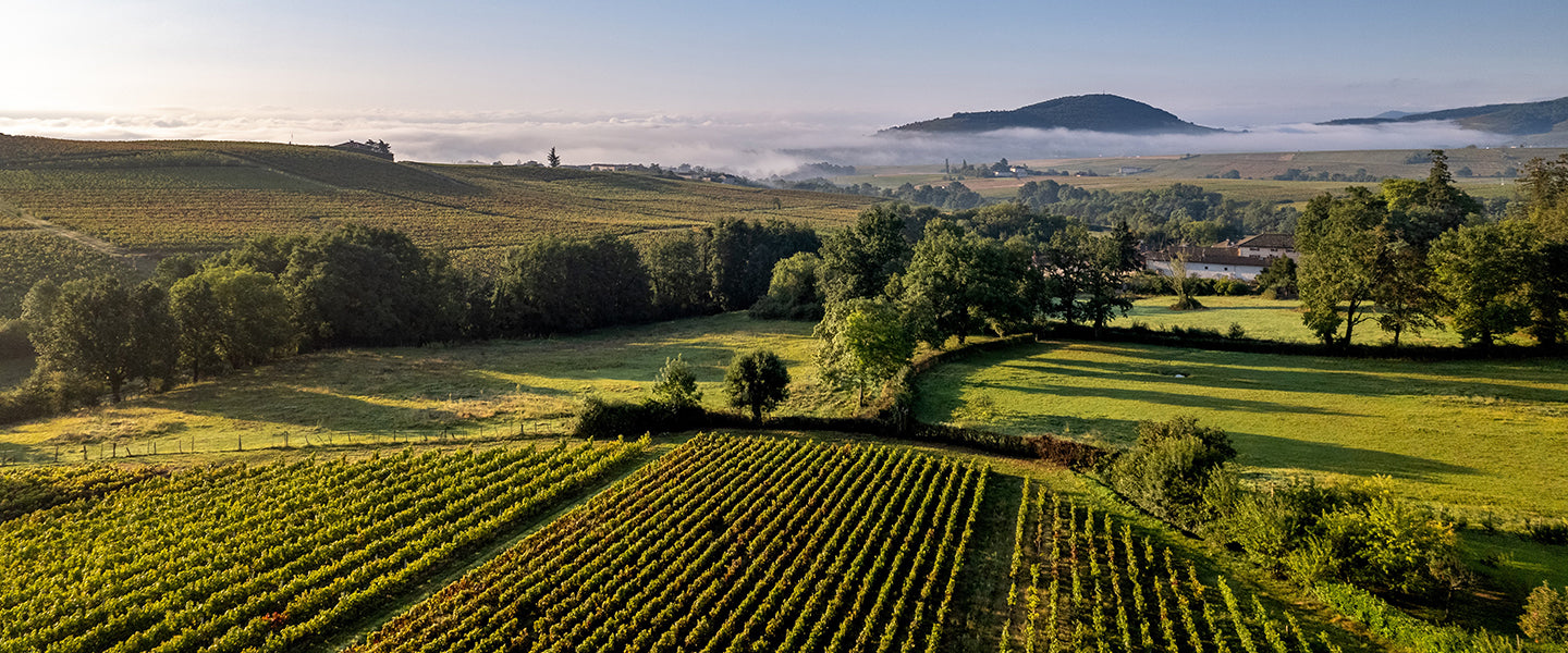 Domaine Dubost - Fleurie "Le Vivier" 2021