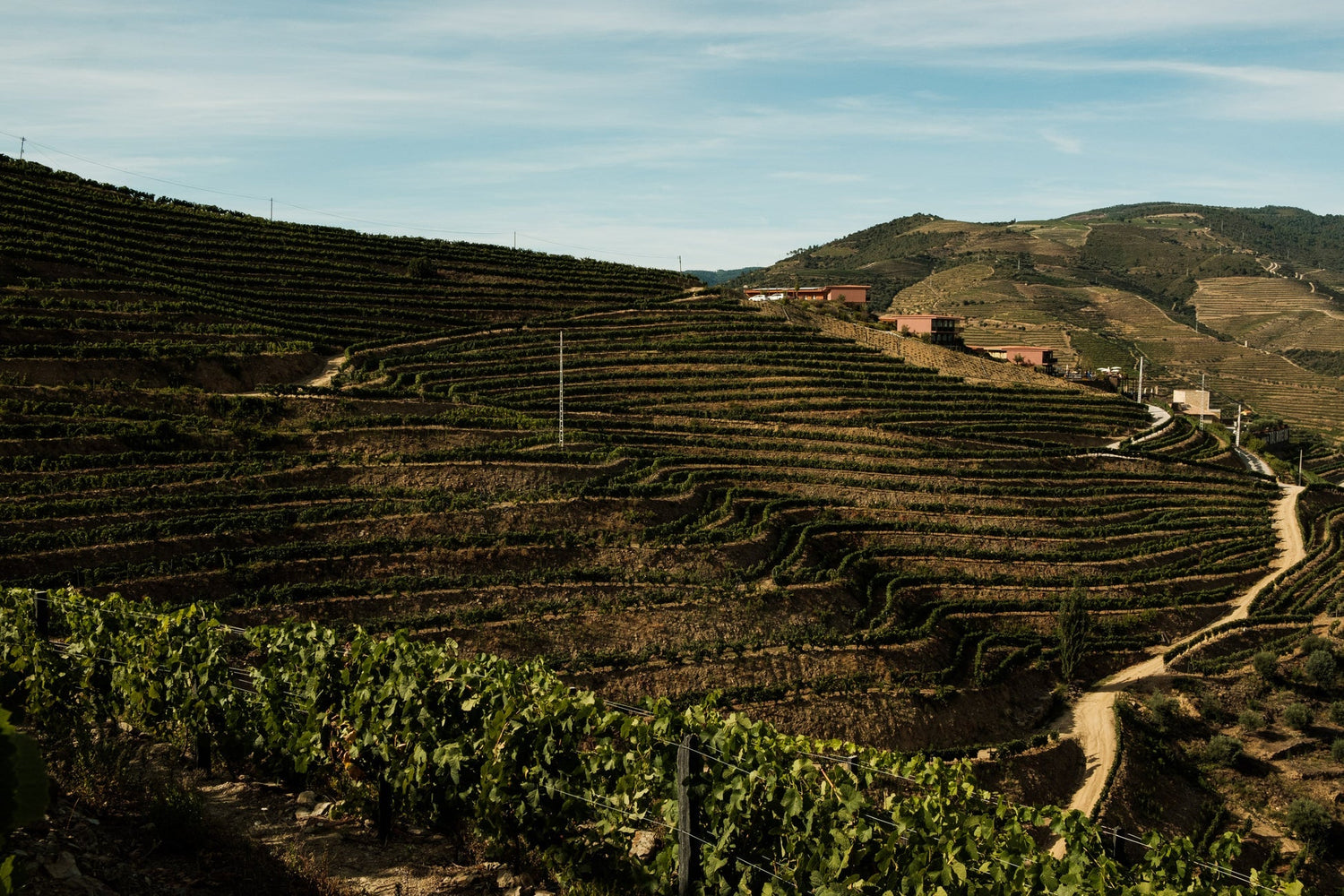 Quinta do Val Moreira