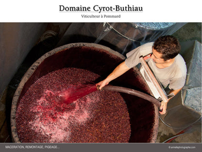 Domaine Cyrot-Buthiau - Bourgogne Pinot Noir 2021