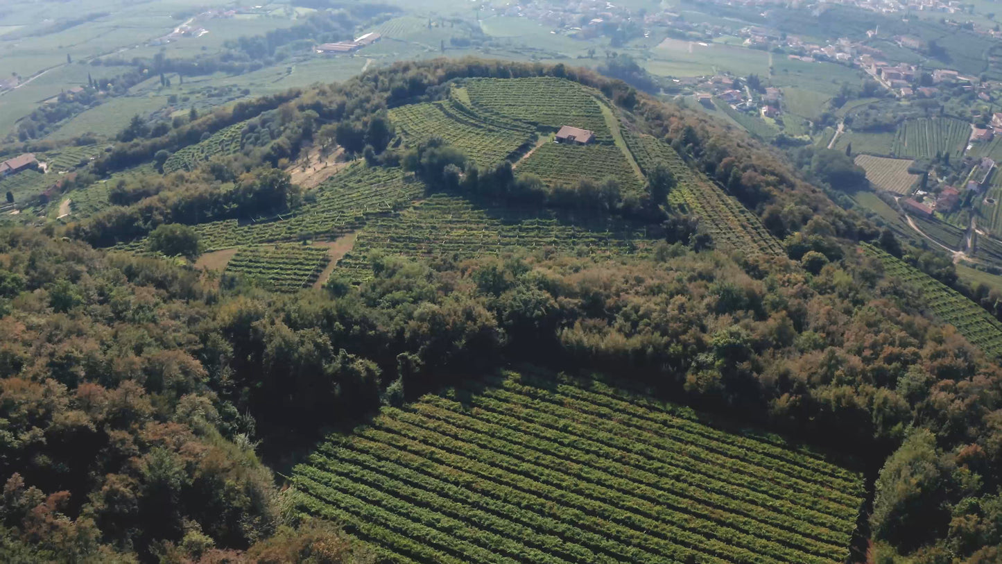 Bussola - L'Errante 2017