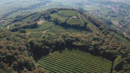 Bussola - L'Errante 2017