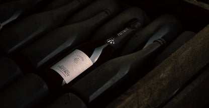 Champagner Edouard Prétrot - La Côte Magnum 150cl NV