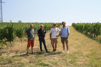 IPARCELLARI - Chardonnay Piemonte DOC PARCELLA 146 2021