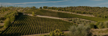 Rocca di Montegrossi - Vin Santo del Chianti Classico DOCG 2013