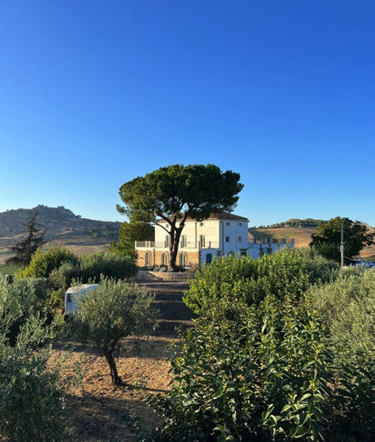 Baglio Bonsignore - Grillo „OI“ 2024