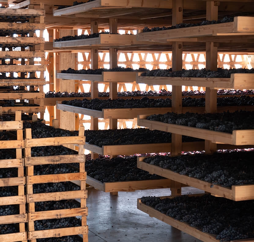 Bussola - L'Errante 2017