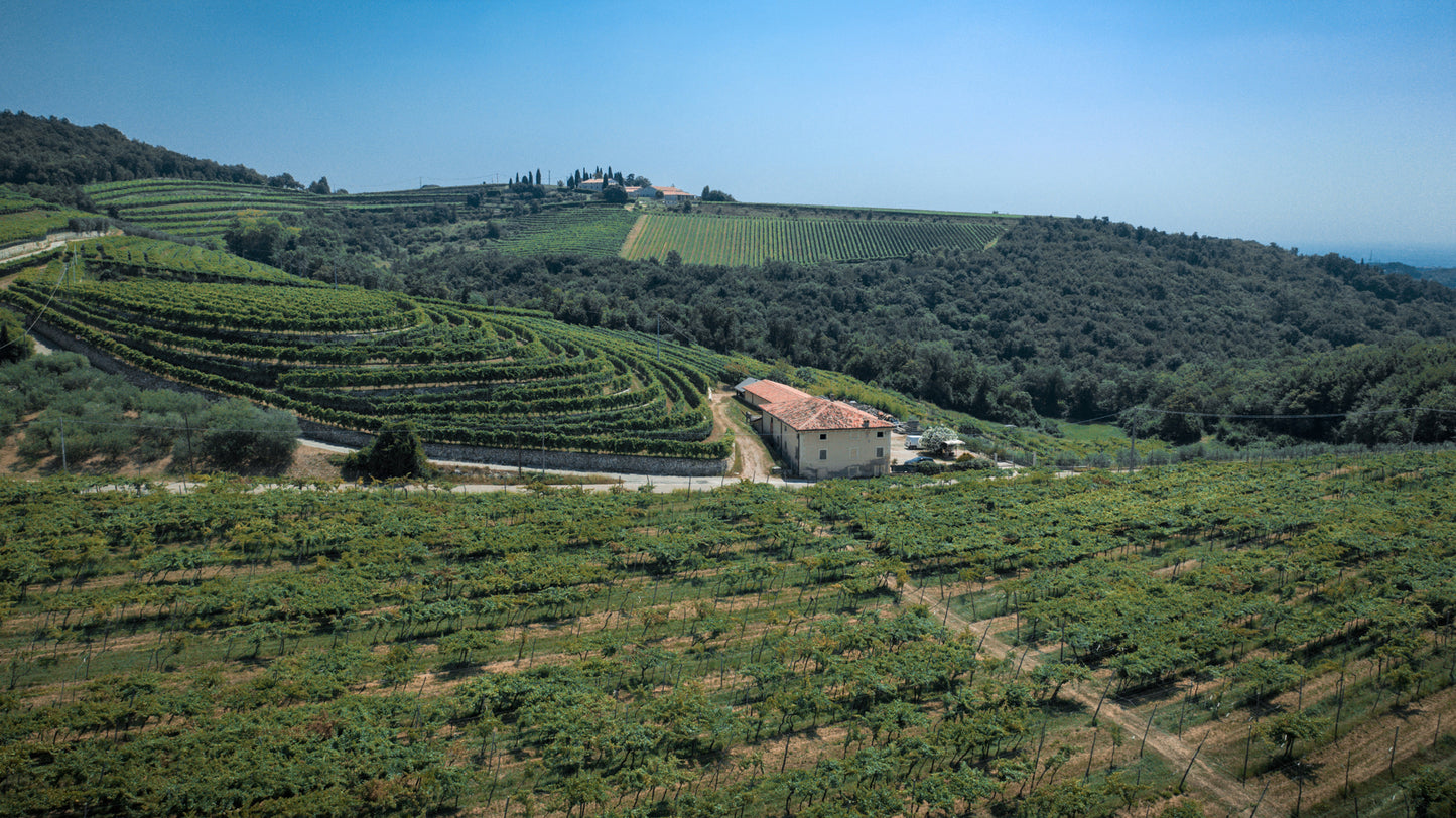 Bussola - L'Errante 2017
