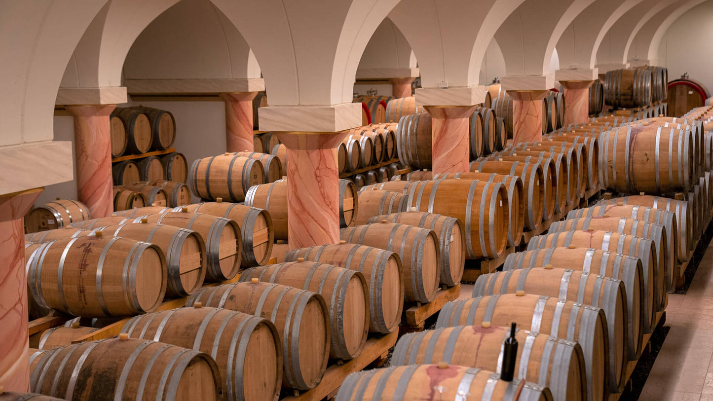 Bussola - L'Errante 2017