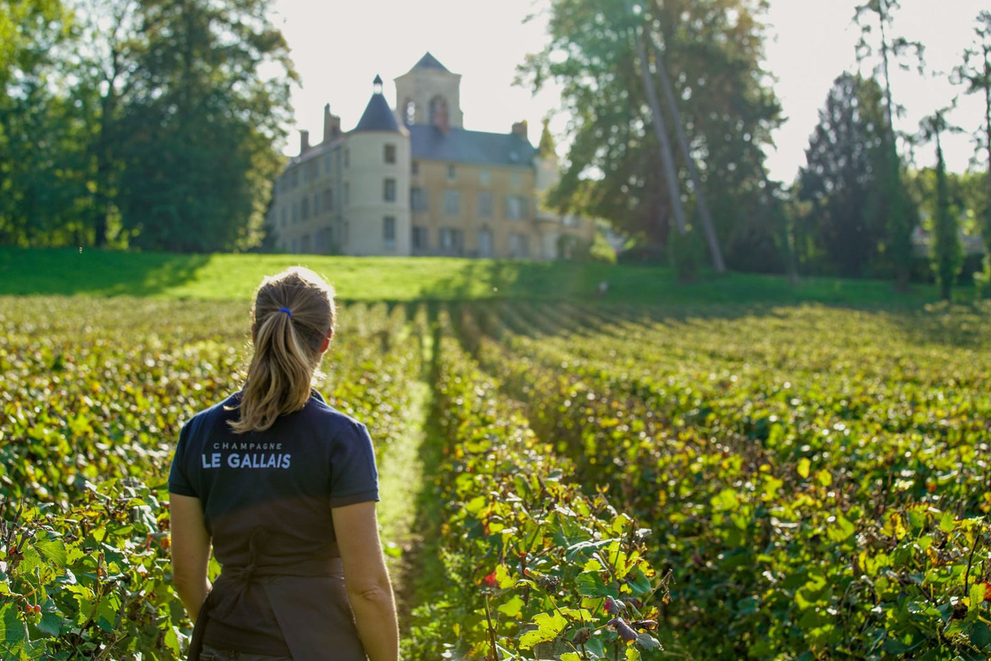 Champagne Le Gallais - Cuvée du Manoir NV