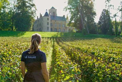 Champagne Le Gallais - Millésime 2013