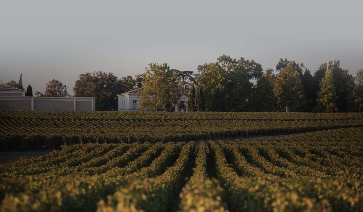 Château La Cardonne 2016