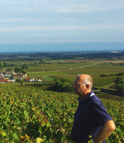François d'Allaines - Bourgogne Chardonnay 2021
