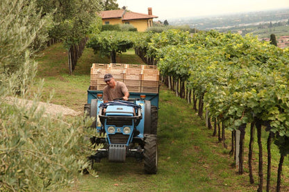 Venturini - Recioto della Valpolicella Classico
