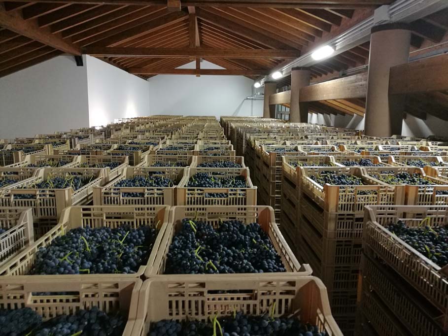 Venturini - Recioto della Valpolicella Classico