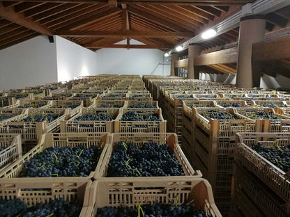 Venturini - Recioto della Valpolicella Classico