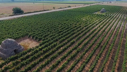 Jorche - Primitivo di Manduria Riserva 2020