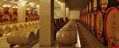 Jorche - Primitivo di Manduria Riserva 2020