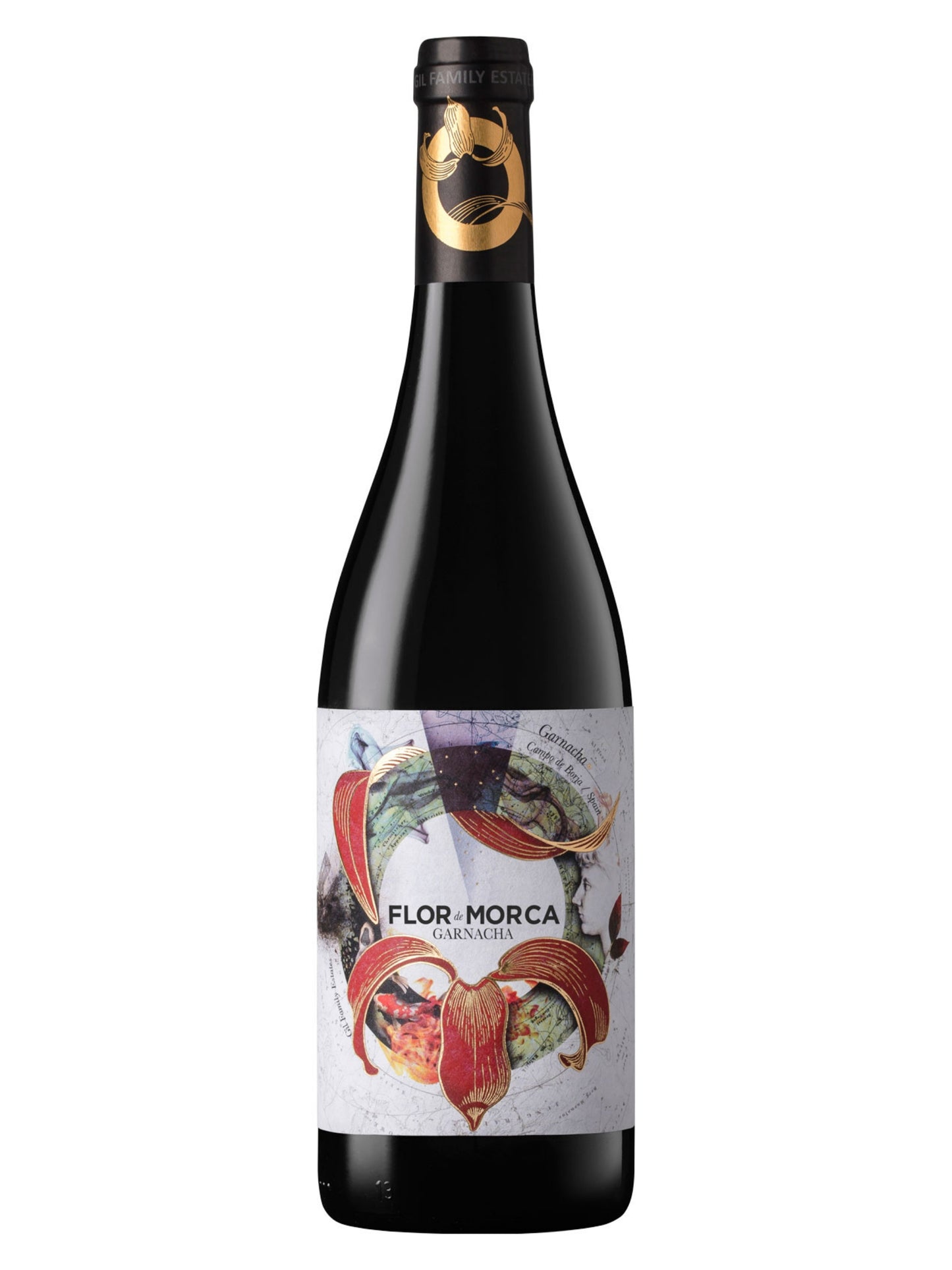 Morca - Flor de Morca 2024