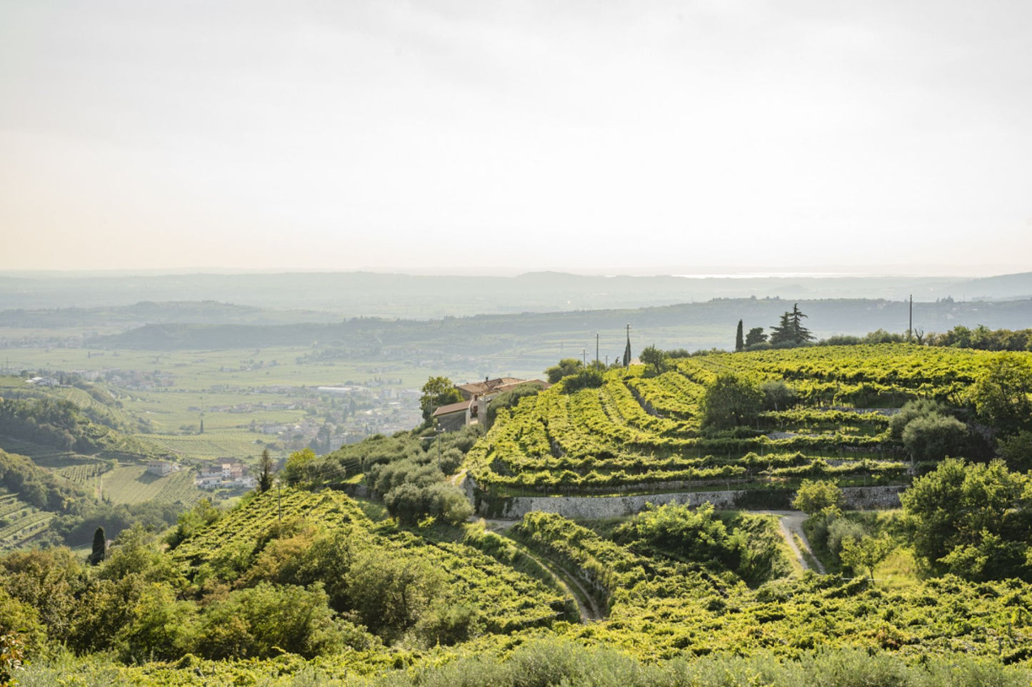 Roberto Mazzi - Valpolicella Classico Superiore Sanperetto 2022