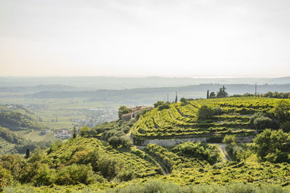 Roberto Mazzi - Valpolicella Classico Superiore Sanperetto 2022