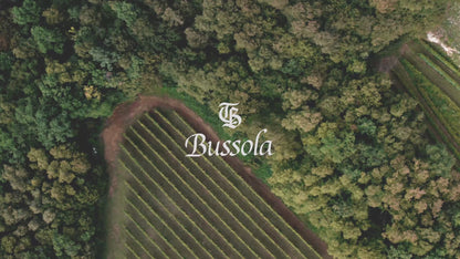 Bussola - L'Errante 2017