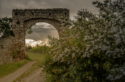 Venturini - Recioto della Valpolicella Classico