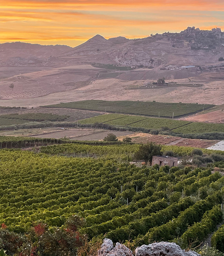 Baglio Bonsignore - Grillo „OI“ 2024