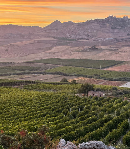 Baglio Bonsignore - Grillo „OI“ 2024