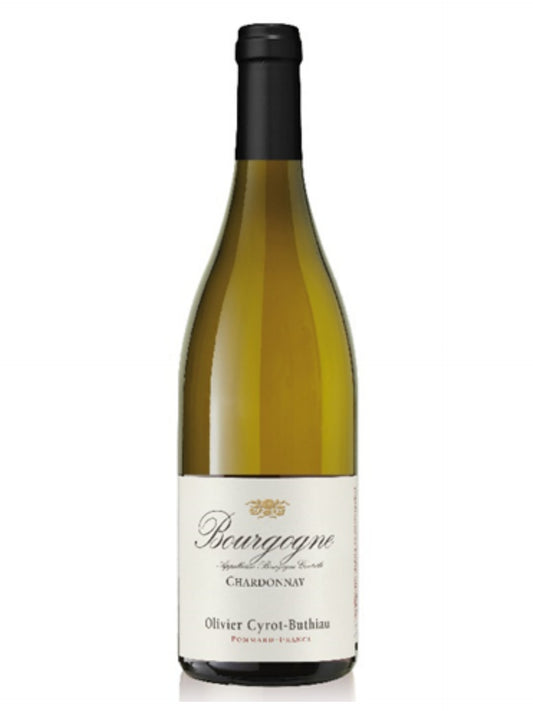Domaine Cyrot-Buthiau - Bourgogne Chardonnay 2019